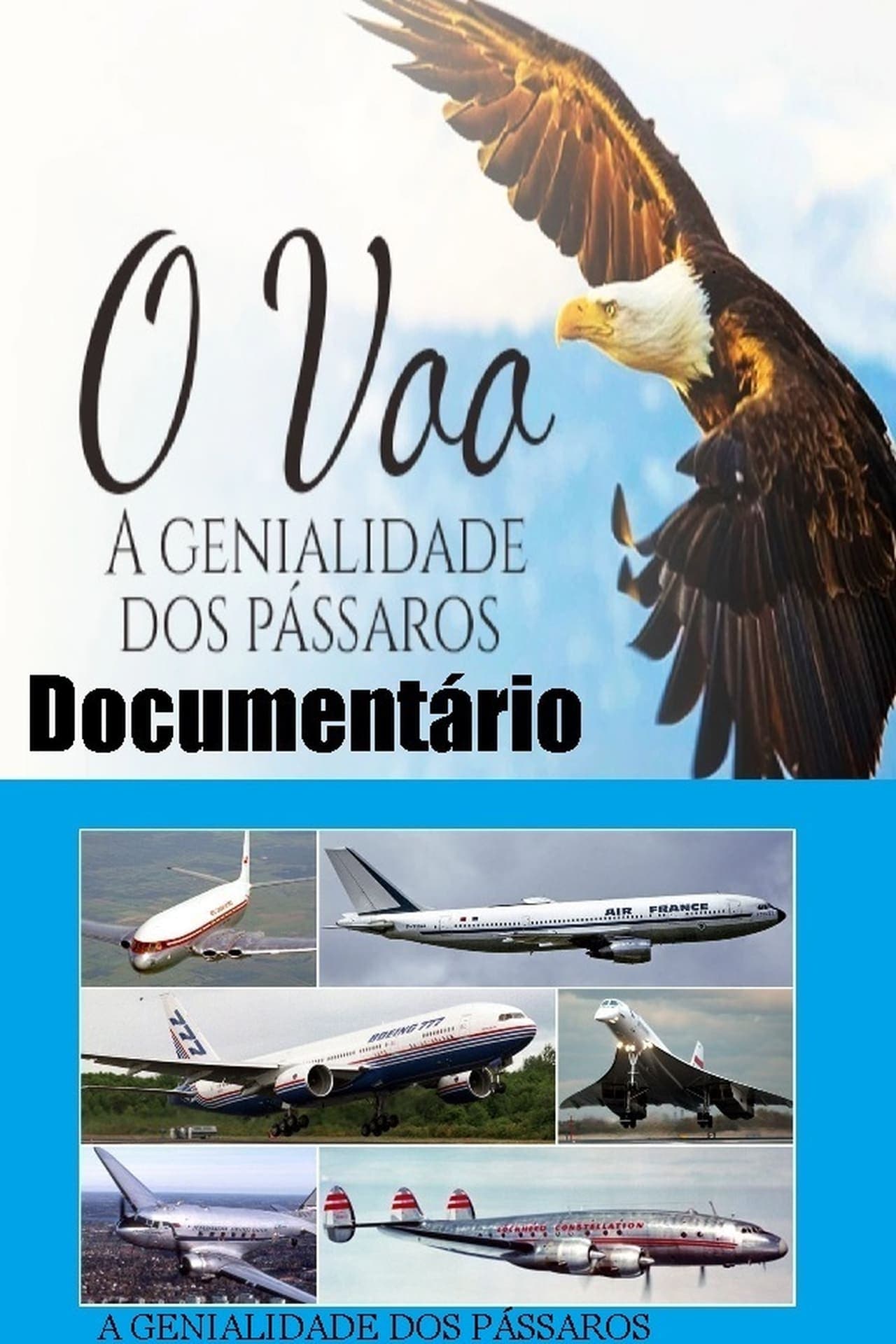 Película Documentário O voo