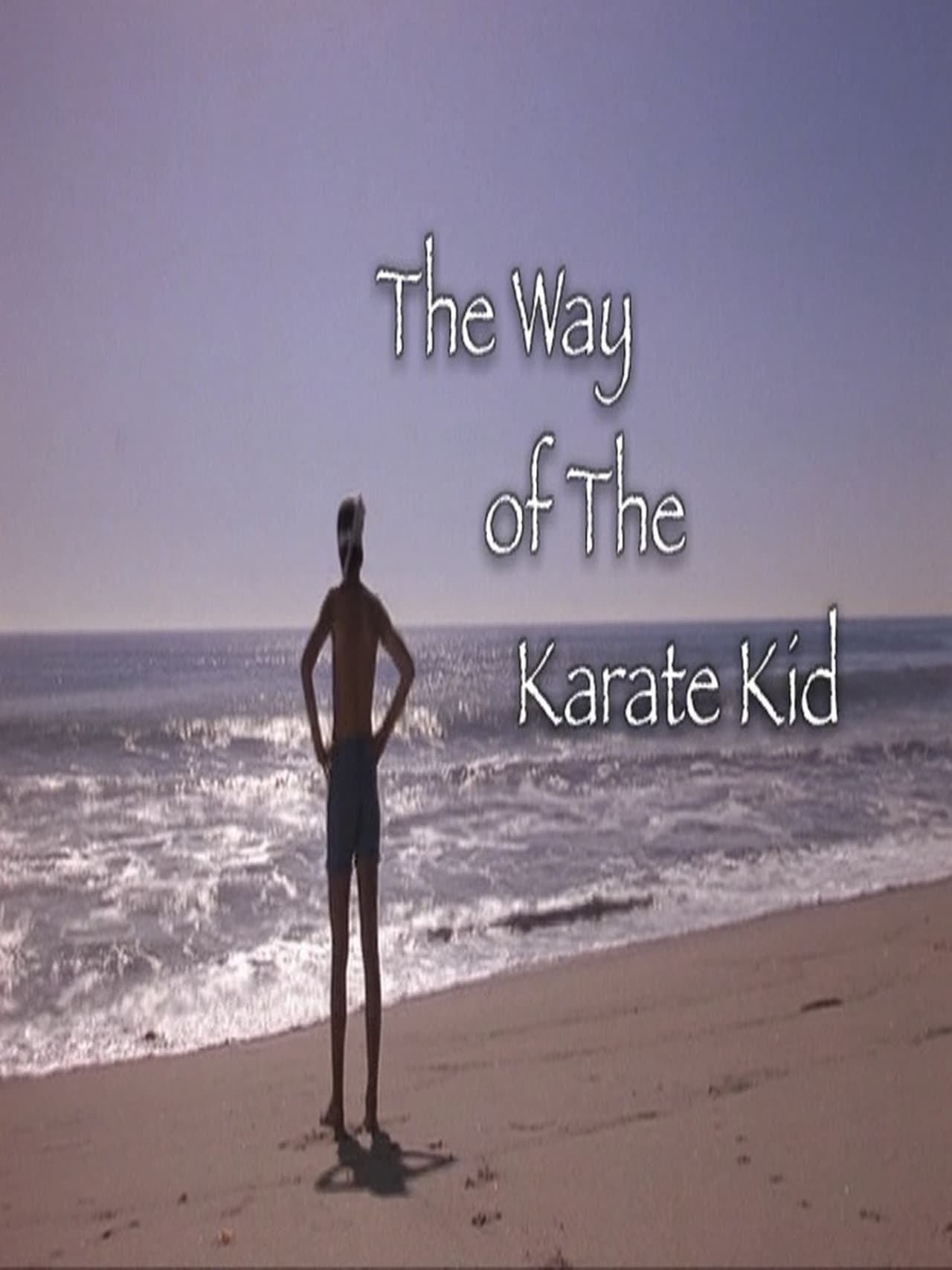 Movie The Way of The Karate Kid