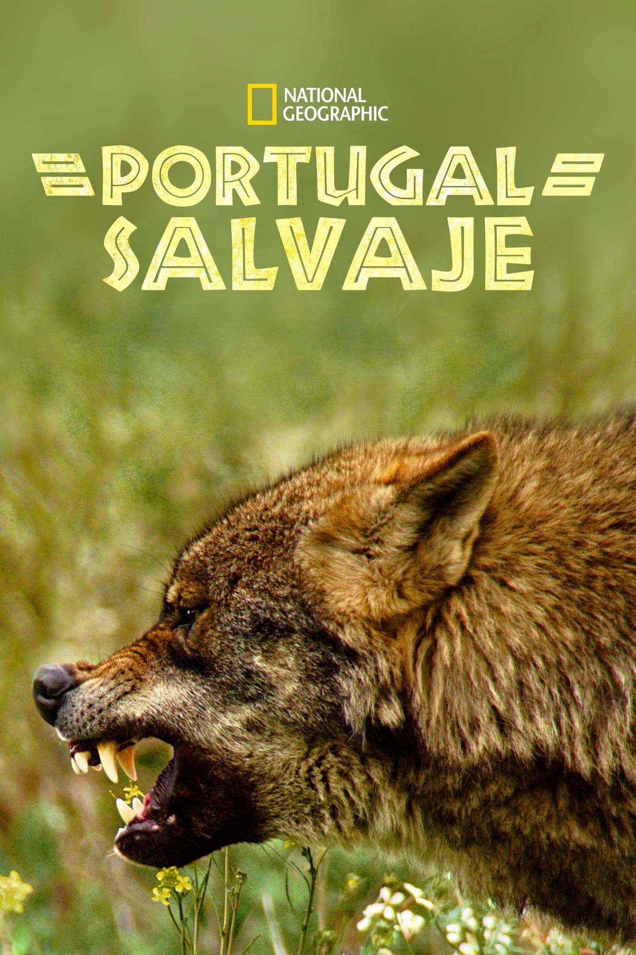 Movie Portugal Salvaje