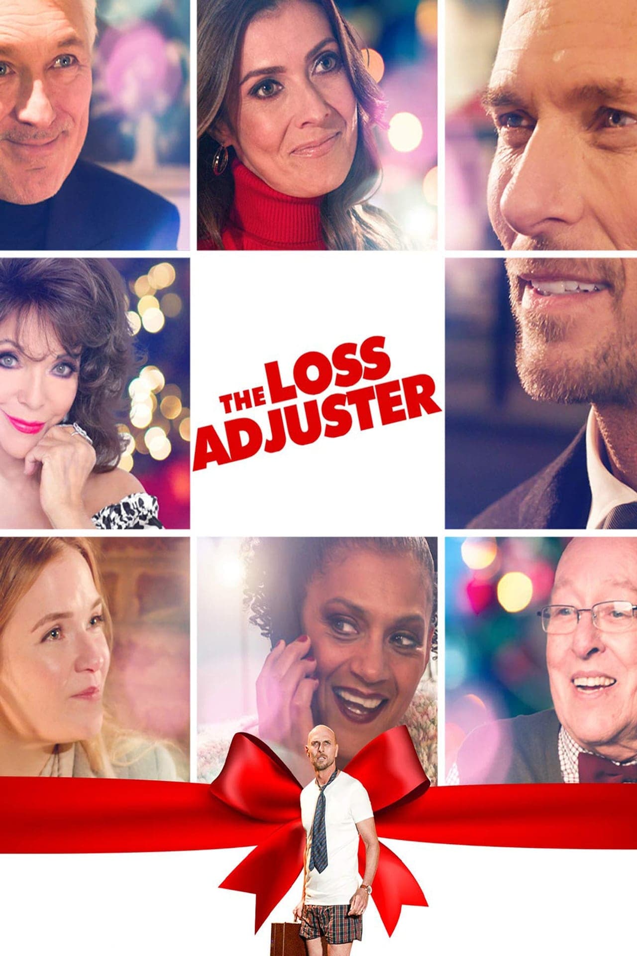 Movie The Loss Adjuster