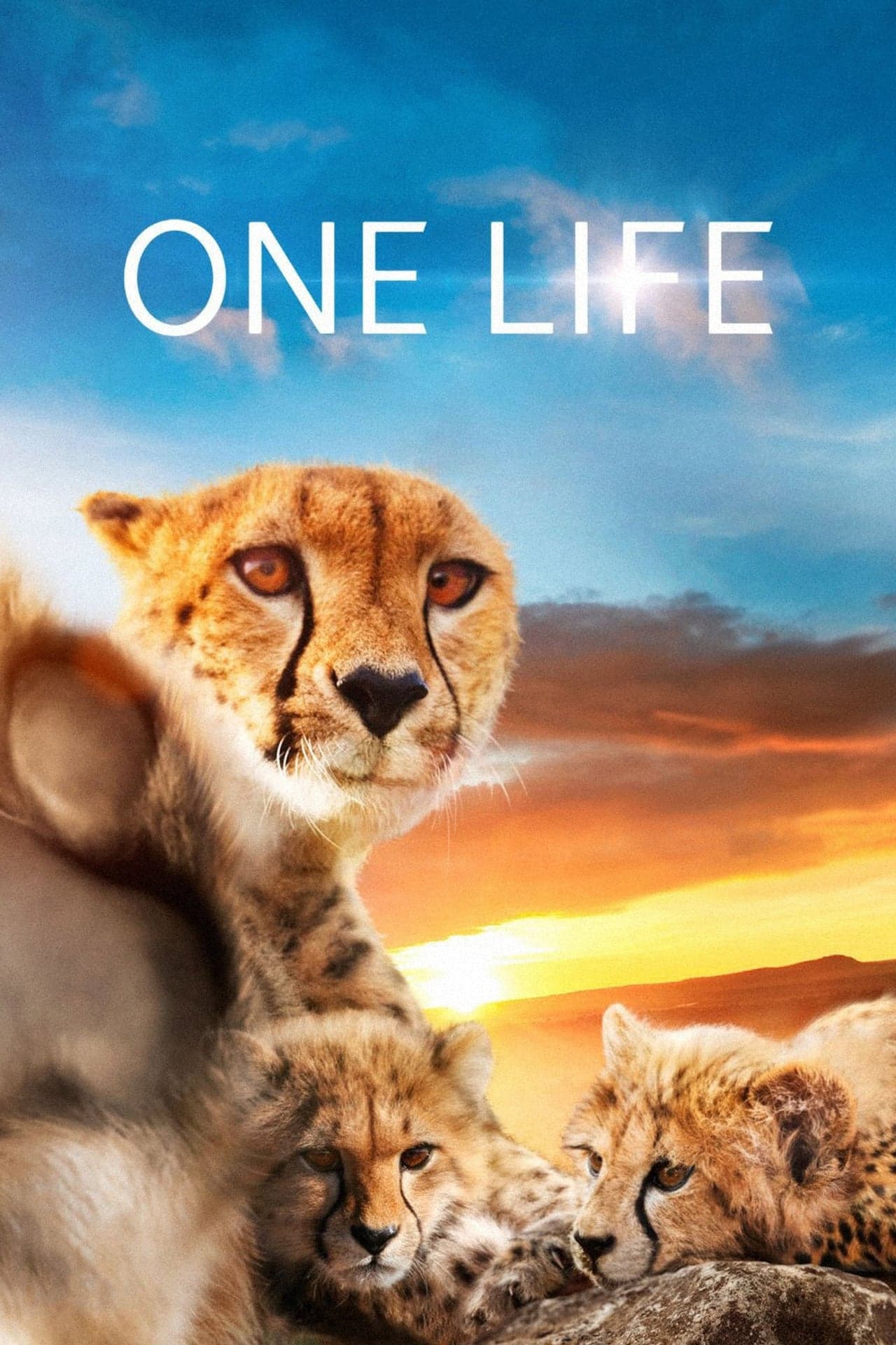 Película One Life