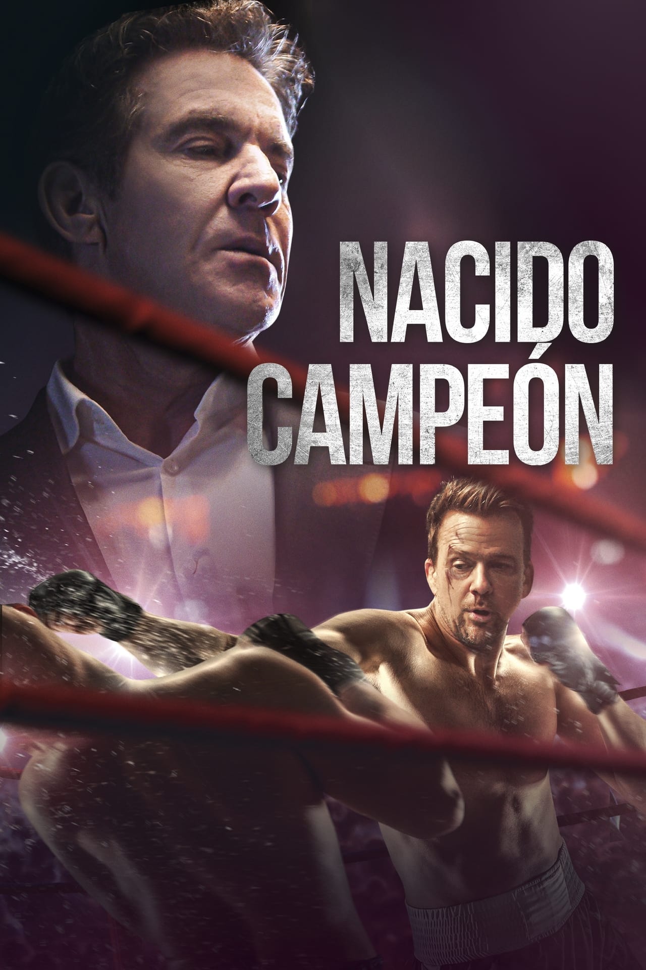 Película Nacido campeón