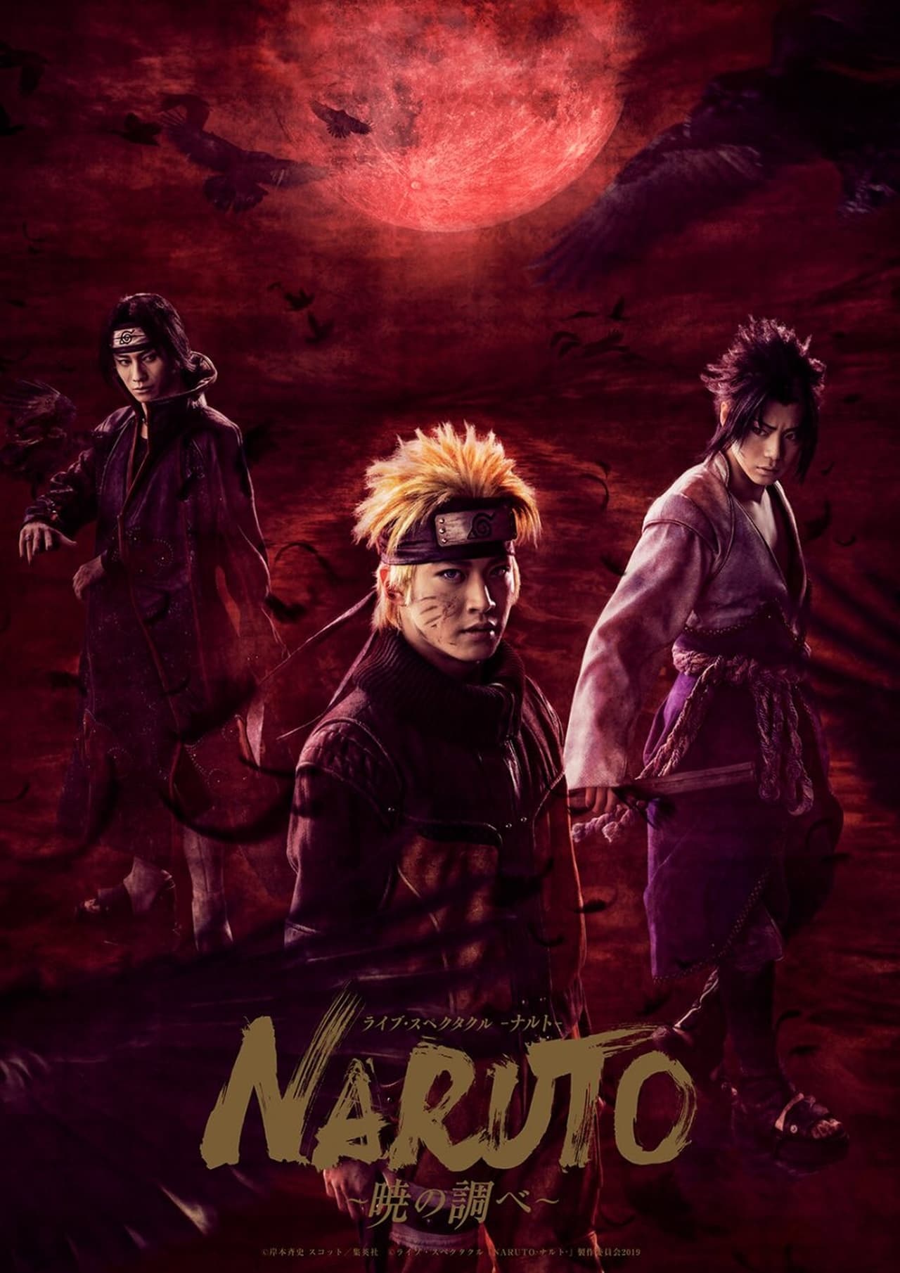 Película ライブ・スペクタクル NARUTO -ナルト- 〜暁の調べ〜