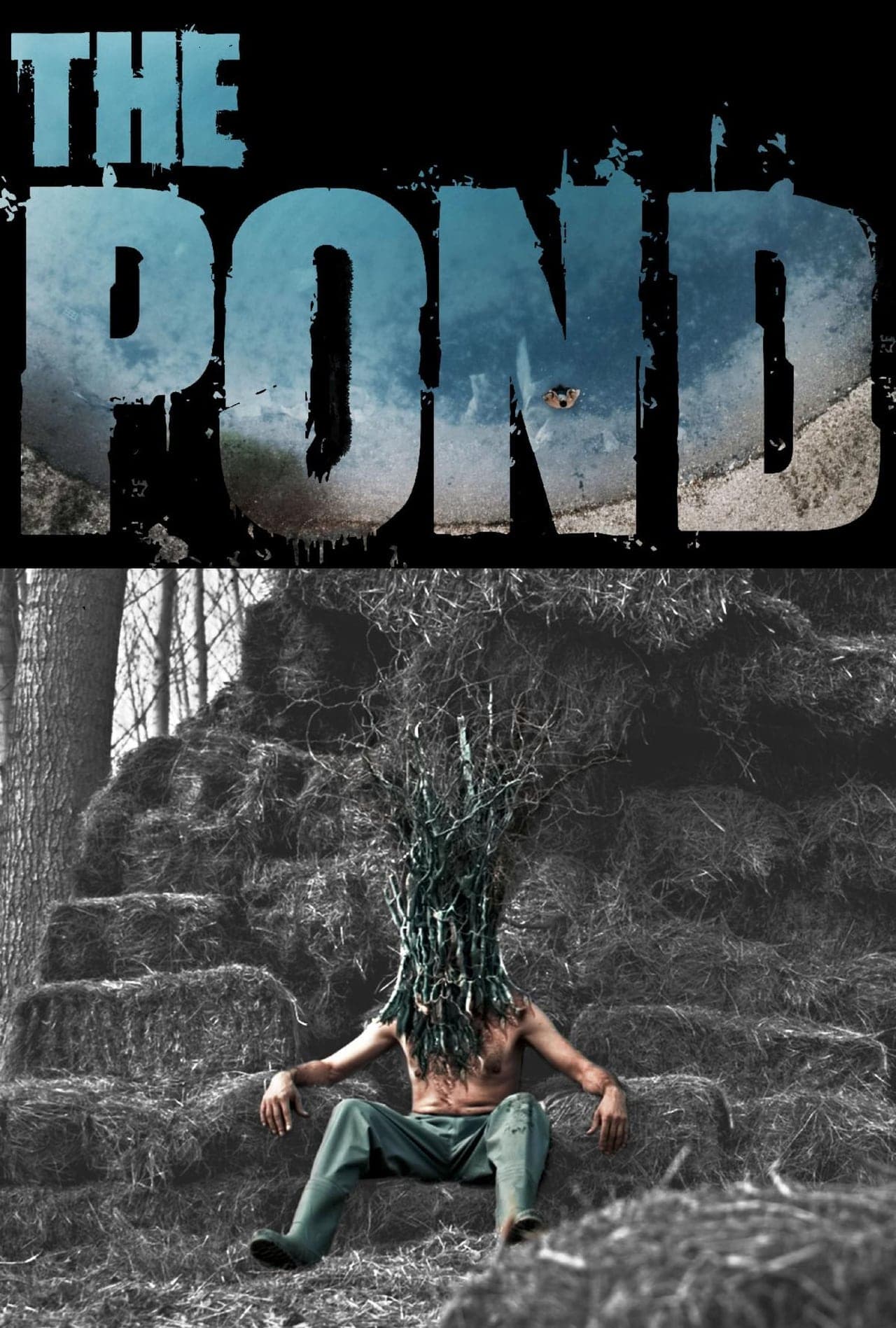 Movie The Pond