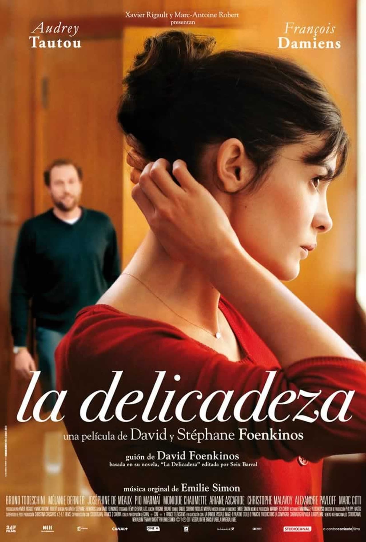 Movie La delicadeza