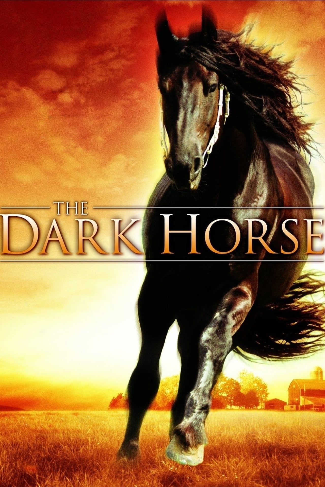 Película The Dark Horse