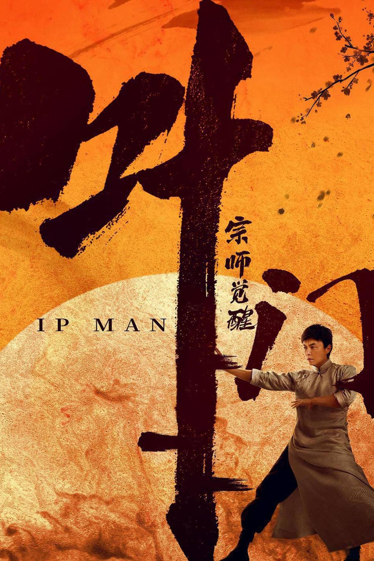 Película Ip Man: The Awakening