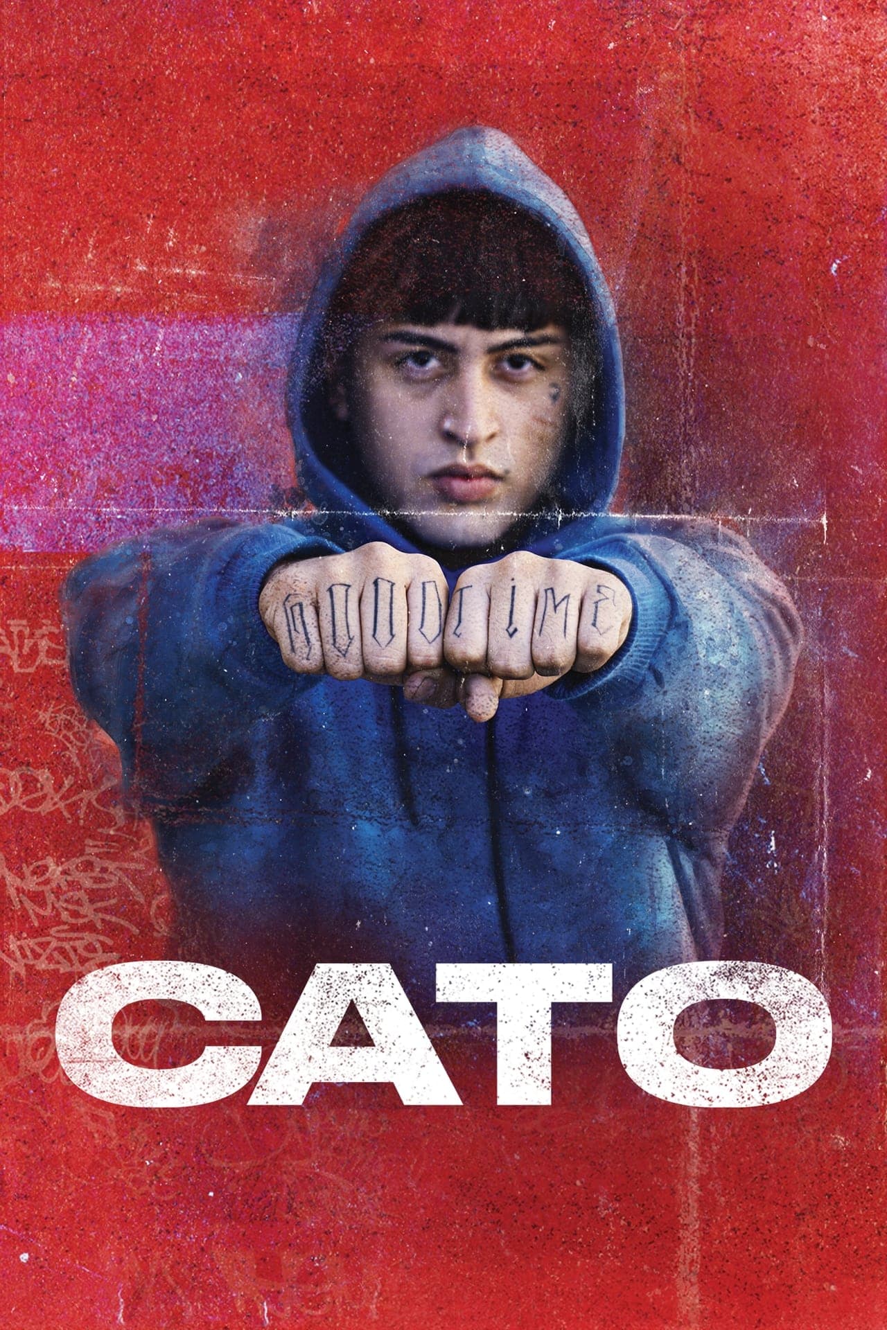 Película CATO