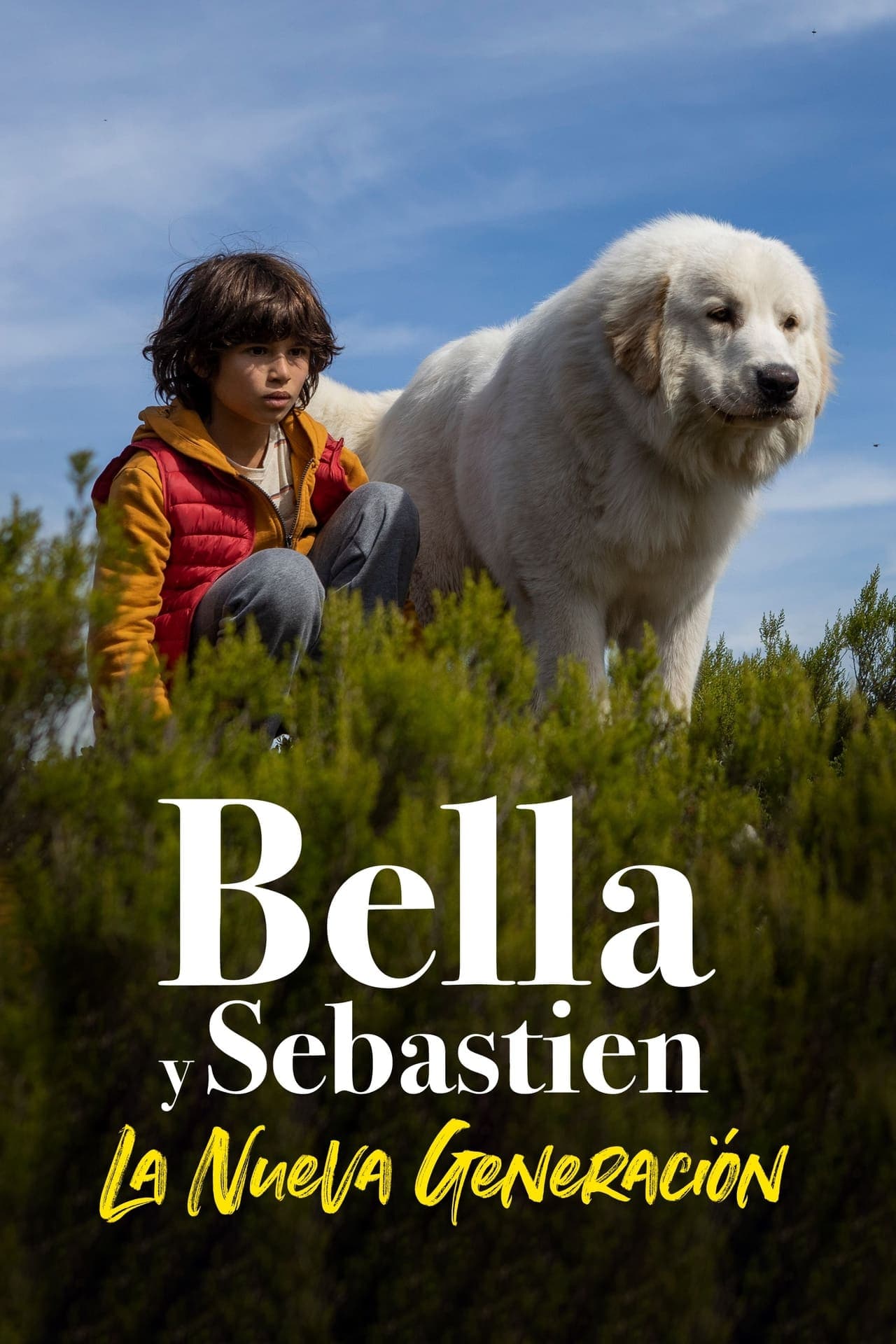 Movie Belle y Sebastián: La nueva generación