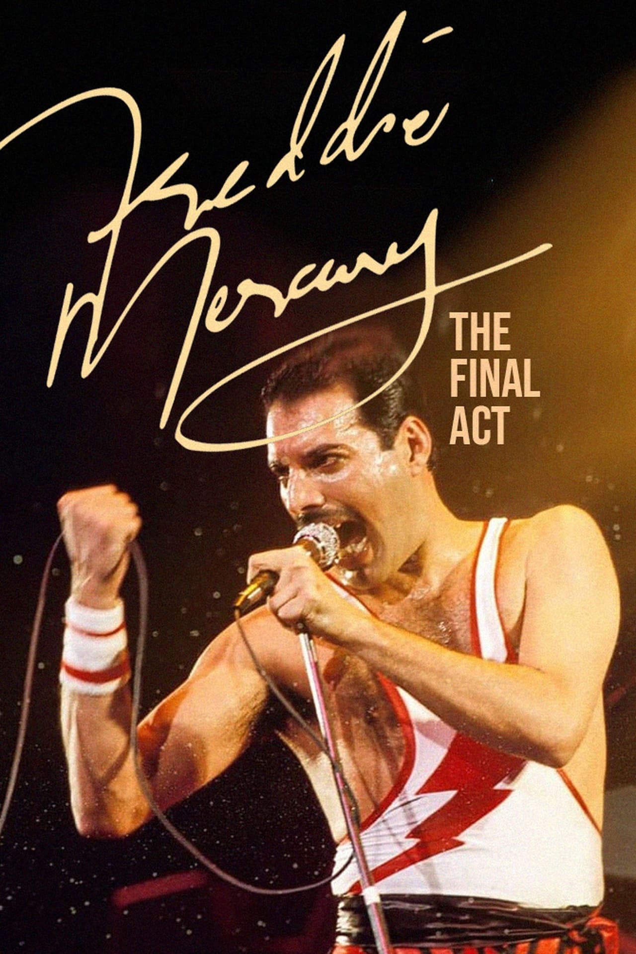 Movie Freddie Mercury: El show final