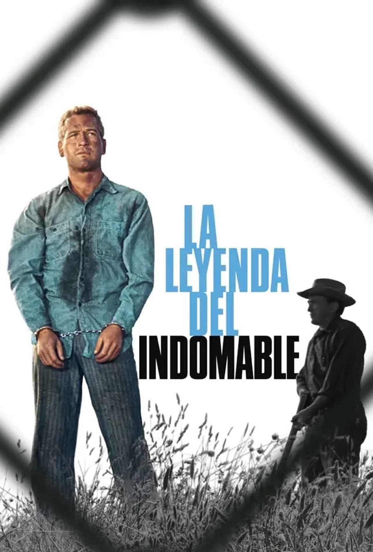 Movie La leyenda del indomable