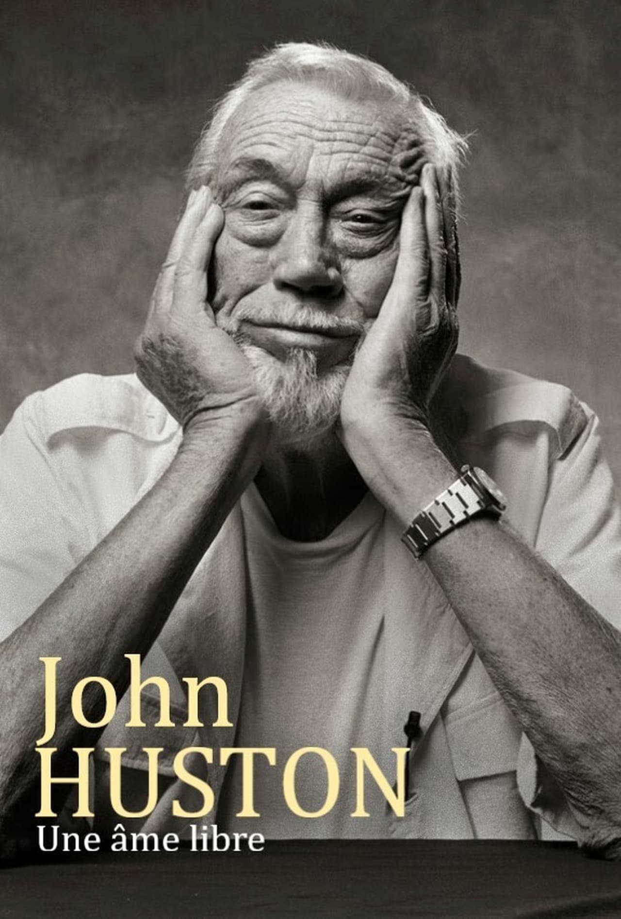 Película John Huston, un alma libre