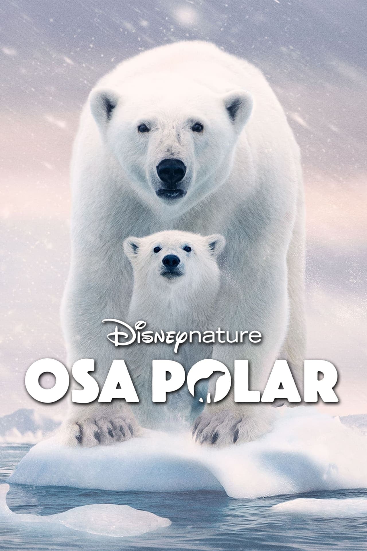 Película Osa Polar