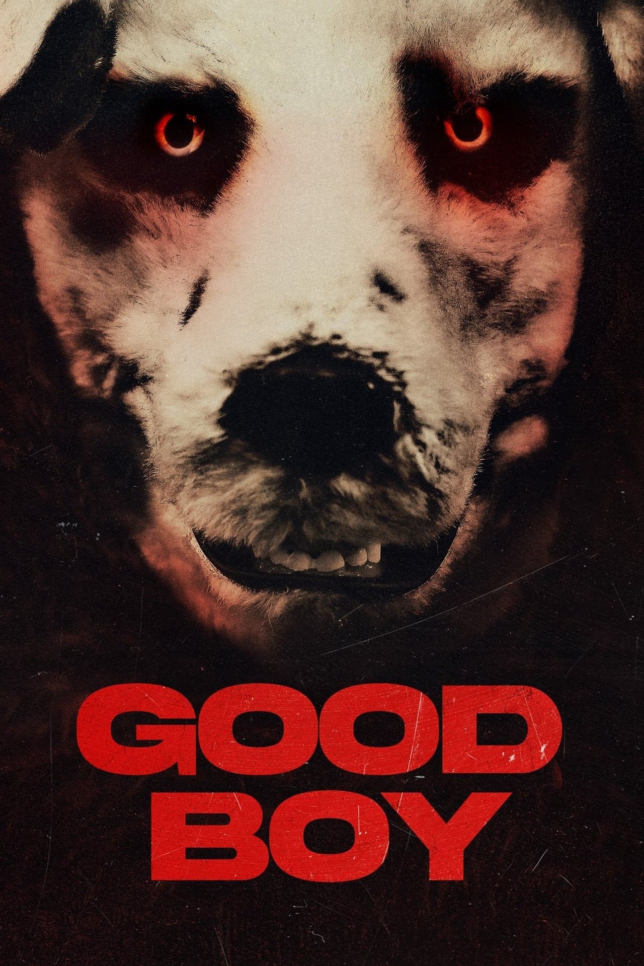 Movie Good Boy