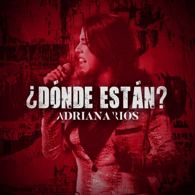 Music Dónde Están?