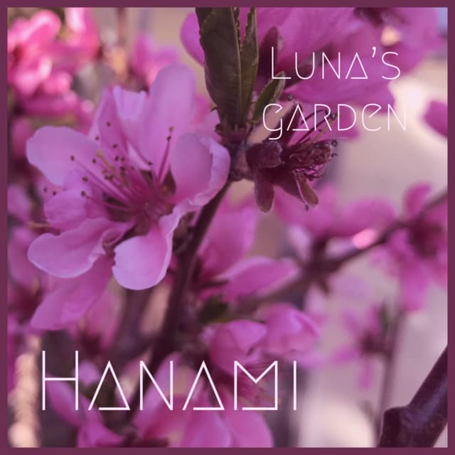 Music Hanami