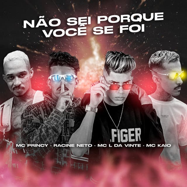 Canción Não Sei Porque Você Se Foi (feat. Mc Kaio & MC L da Vinte) - Brega Funk