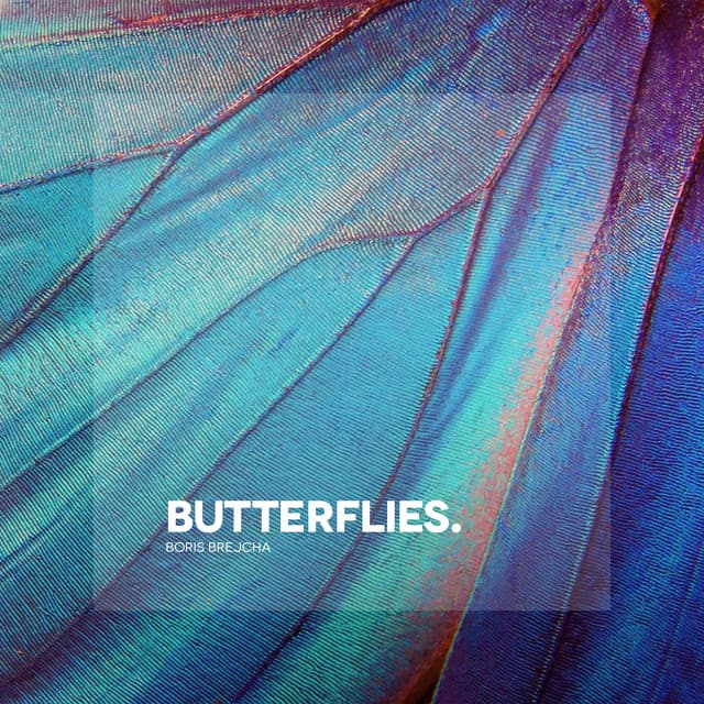 Canción Butterflies