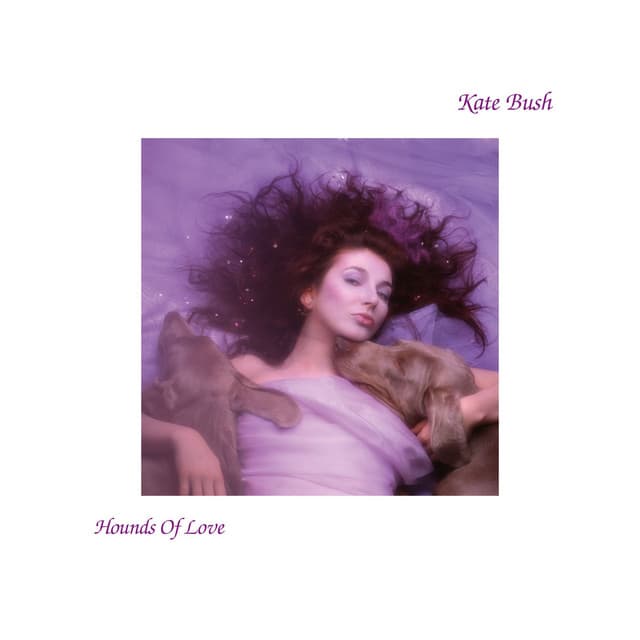 Canción Hounds Of Love