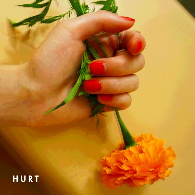 Canción Hurt