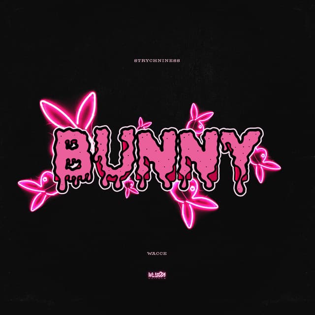 Canción Bunny