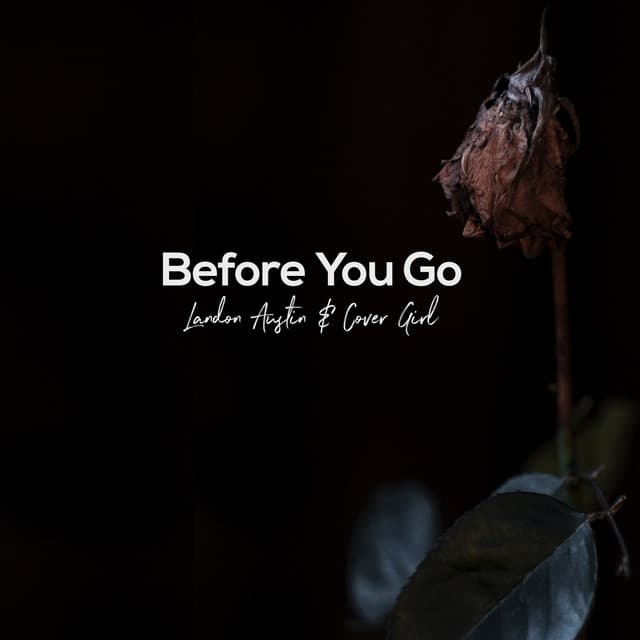 Music Before You Go (Acoustic)