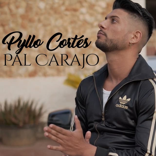 Canción Pal Carajo