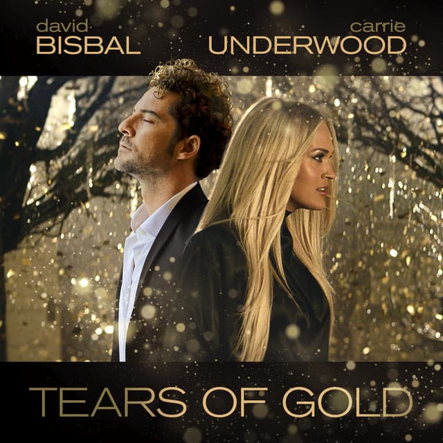 Canción Tears Of Gold