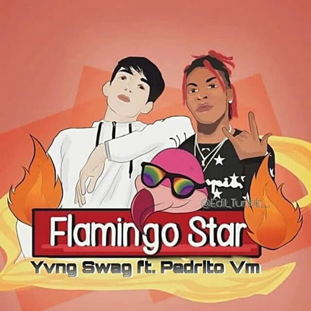 Music Flamingo Star