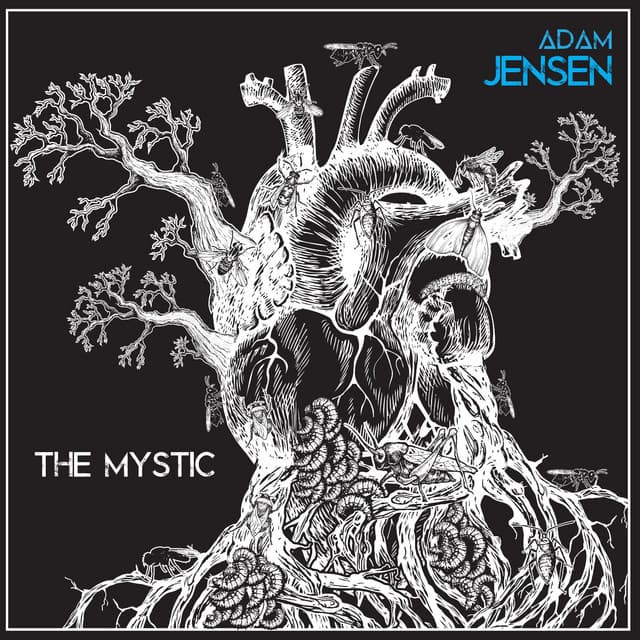 Canción The Mystic