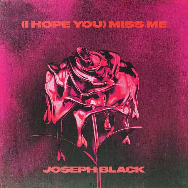 Canción (i hope you) miss me