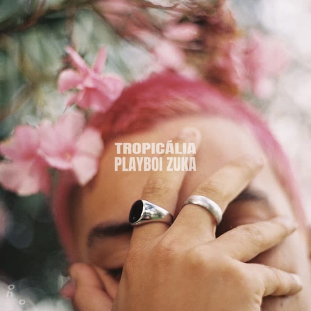 Canción Tropicália