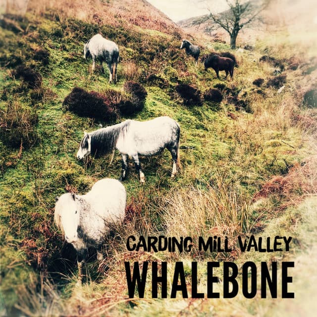 Canción Carding Mill Valley