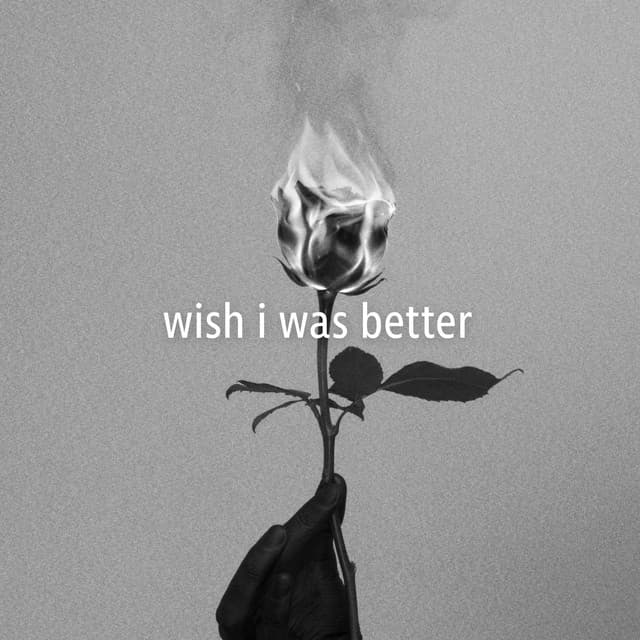 Canción Wish I Was Better