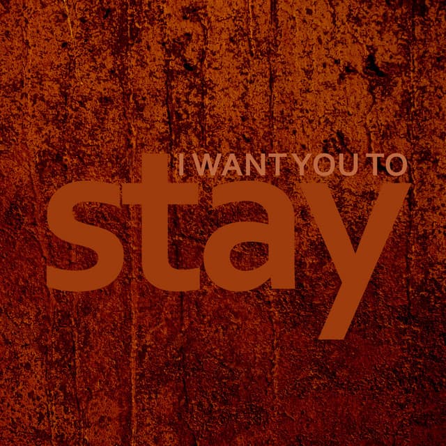 Canción Stay