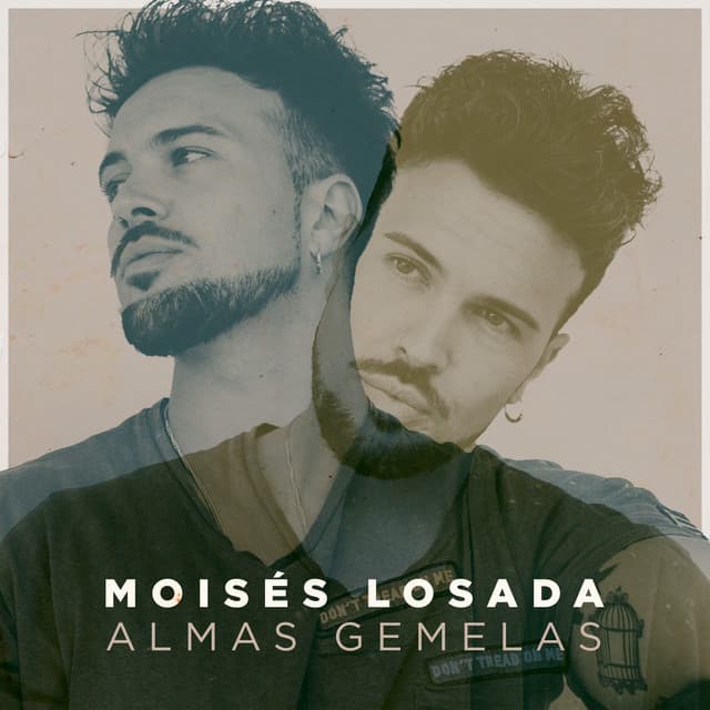 Canción Almas Gemelas