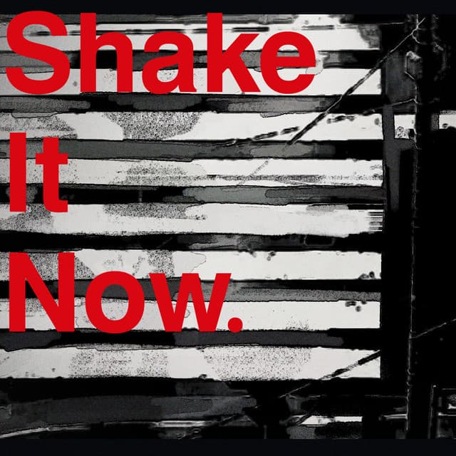 Canción Shake It Now.