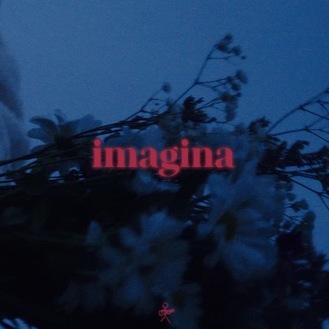 Canción Imagina