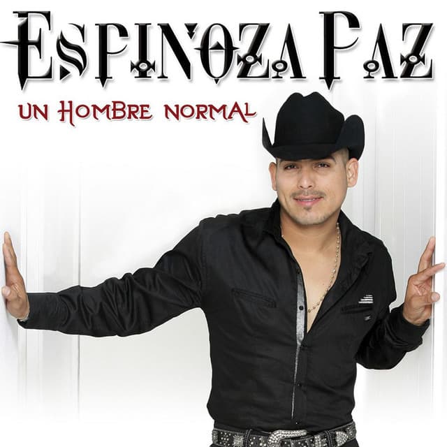 Canción Un Hombre Normal