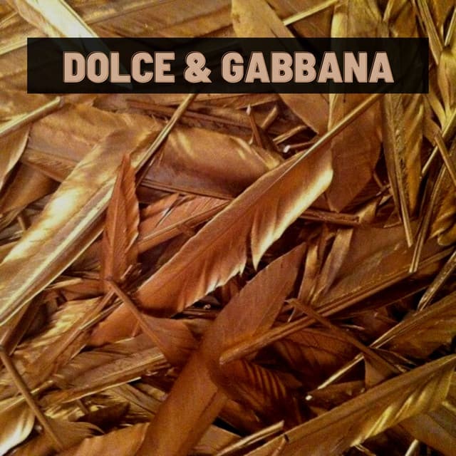 Music Dolce & Gabbana - Remix