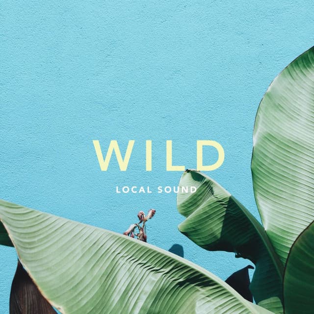 Canción Wild