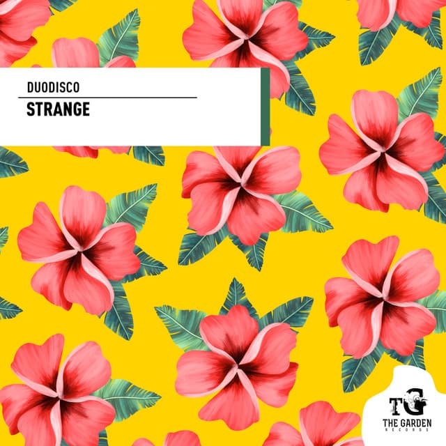 Canción Strange