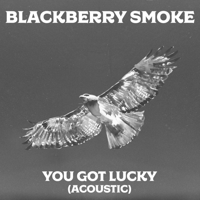 Canción You Got Lucky - Acoustic Version