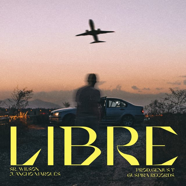 Canción LIBRE