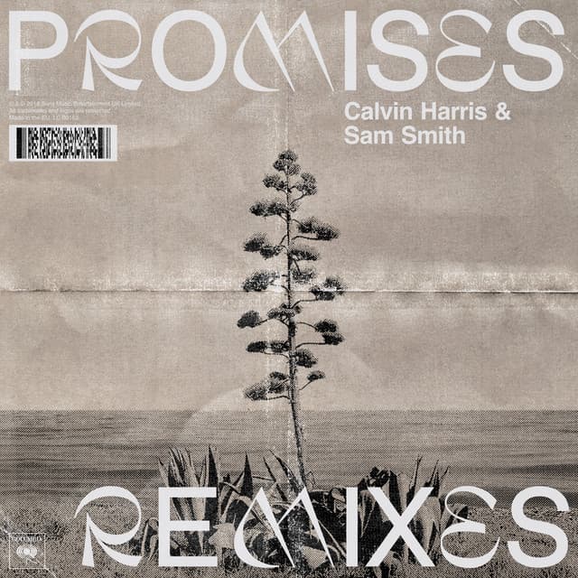 Canción Promises (with Sam Smith) - David Guetta Remix