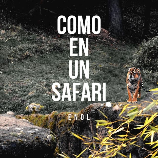 Canción Como en Un Safari