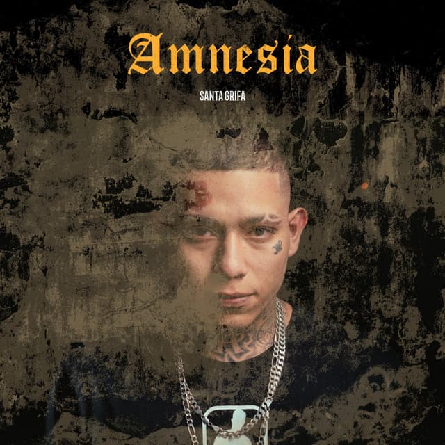 Canción Amnesia