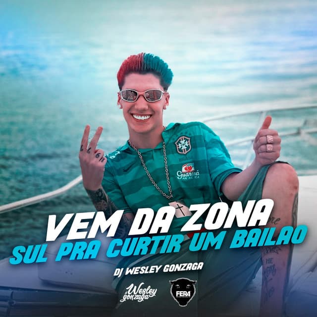 Canción VEM DA ZONA SUL PRA CURTIR UM BAILÃO