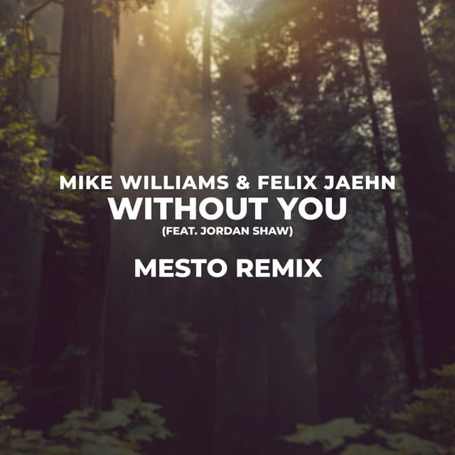 Canción Without You - Mesto Remix