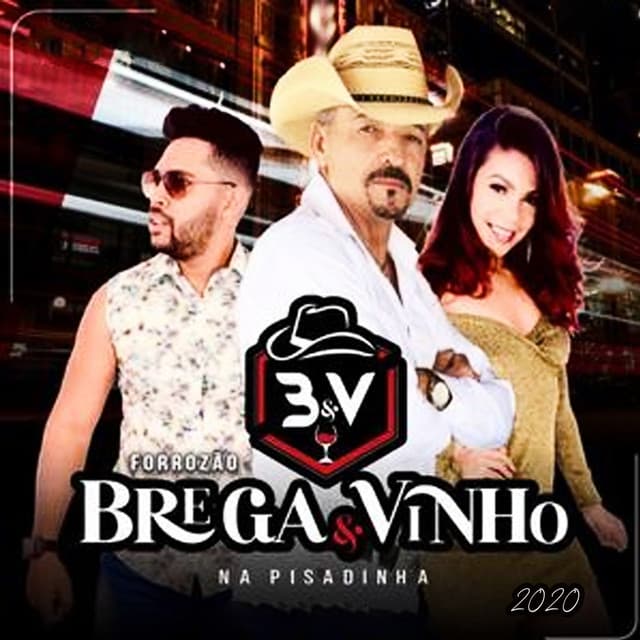 Canción Brega Funk Com Piseiro